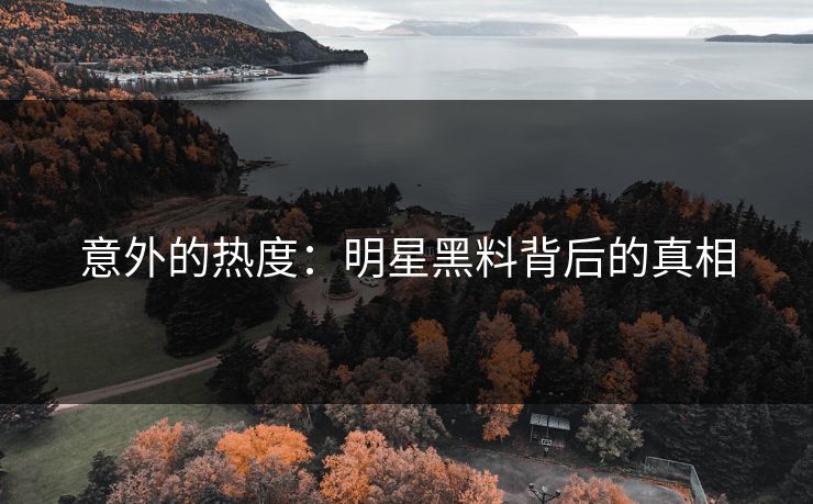 意外的热度:明星黑料背后的真相 第1张 意外的热度:明星黑料背后的真相 第1张