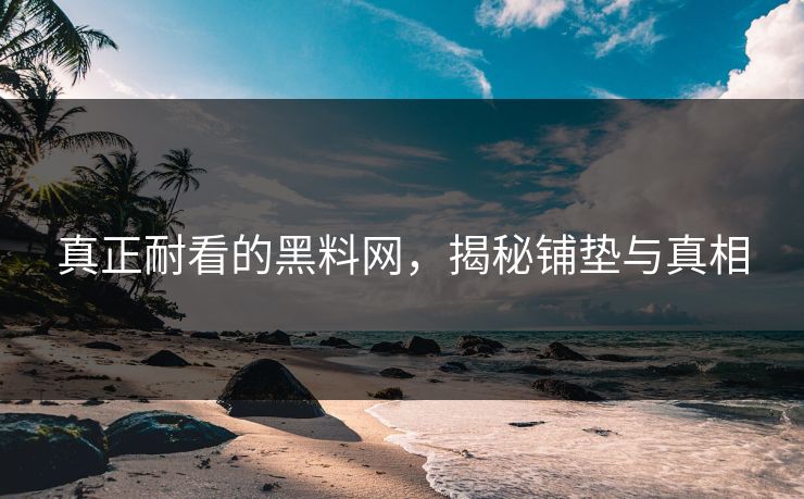 真正耐看的黑料网,揭秘铺垫与真相 第1张 真正耐看的黑料网,揭秘铺垫与真相 第1张